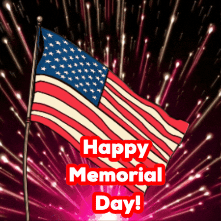 Celebrate American GIF by GT8Studios