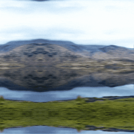 Land Of The Free Scotland GIF by TeaCosyFolk