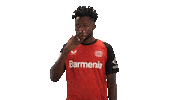 Bayer Leverkusen Kiss Sticker by Bundesliga