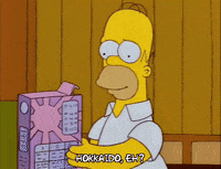 homer simpson episode 22 GIF