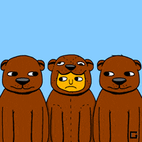 Bears GIF by gifnews