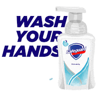 Safeguard_PH soap detox foam charcoal Sticker
