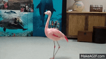 rip dancing GIF