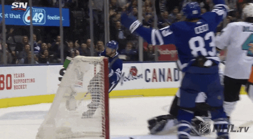 Celebrate Ice Hockey GIF by NHL
