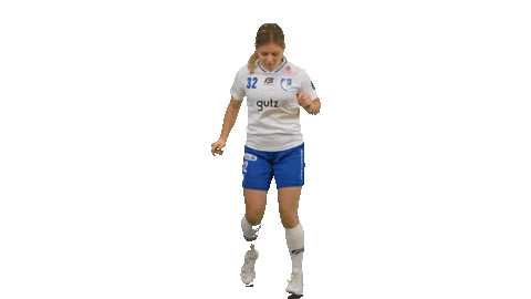 Floorball Salibandy Sticker by F-liiga