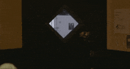 jeff rosenstock blast damage days GIF by SideOneDummy Records