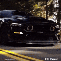 FijiFilmss car cars videography mustang GIF