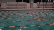 Iwutitans Tgoe GIF by iwusports