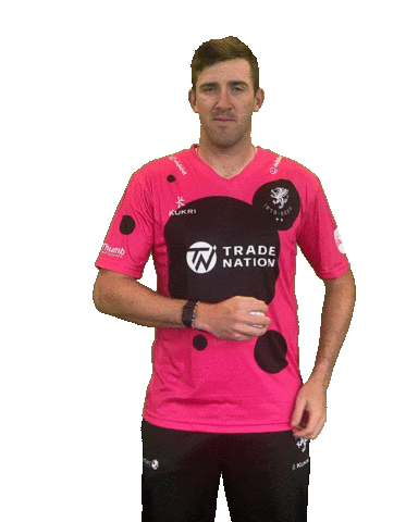 Ball Bow Sticker by Somerset County Cricket Club