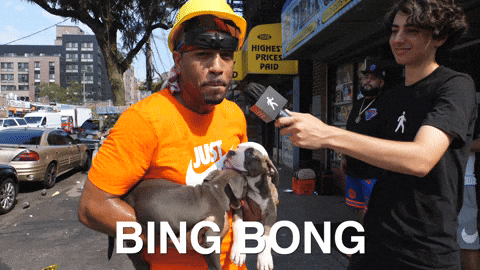 New York Dog GIF by Sidetalk