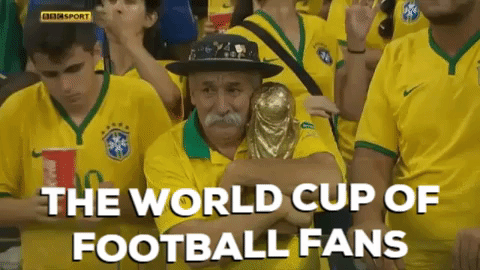 world cup fans GIF