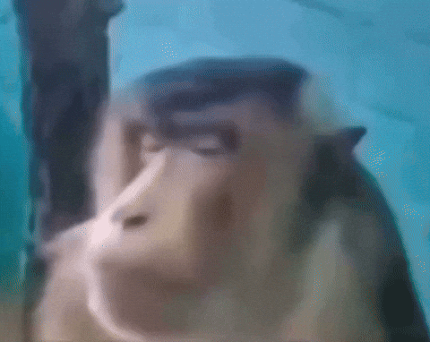 Confused Side Eye GIF