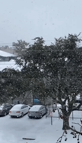 Heavy Snow Falls in Dallas as Winter Storm Sweeps US