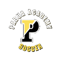 Soccer Pandas Sticker by Padua Academy