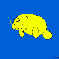 News Fox GIF by Animation Domination High-Def