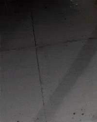 Vasco Da Gama GIF