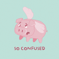 Confused Flying Pig GIF by PositivelyPigasus