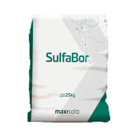 Maxisolo Sticker by Sulgesso