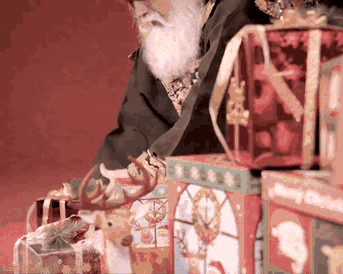 LiBibo giphyupload GIF