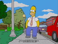 homer simpson GIF