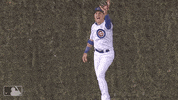 chicago cubs sport GIF by MLB