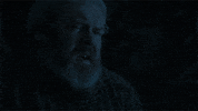 hbo GIF by Game of Thrones