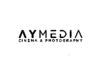 Logo Wedding Sticker by Aymedia