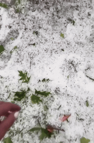 Hailstones in South Carolina