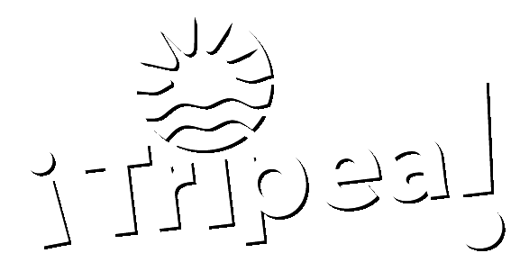 Summerpolitan giphyupload fun party cool Sticker