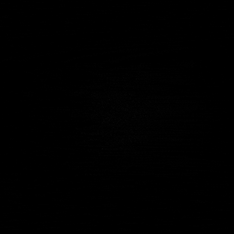 ISAEDANZA giphygifmaker isae GIF