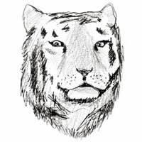 GIF by paevey