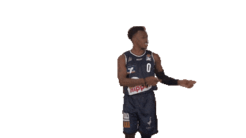 Sport Basketball Sticker by HAKRO Merlins Crailsheim