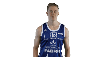 Sport Basketball Sticker by Basket_fi