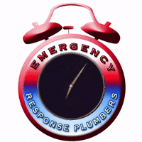 emergencyresponseplumbers  GIF