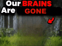 Brain GIF
