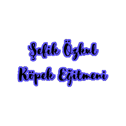 Sticker by Sefik Ozkul