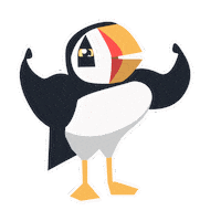Puffin Bird Of The Year Sticker by RSPB