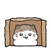 coconyangofficial 고양이 코코냥 conyang 코냥이 Sticker