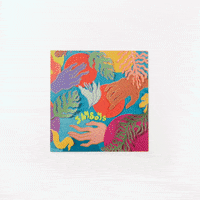 shy boys GIF by Polyvinyl Records