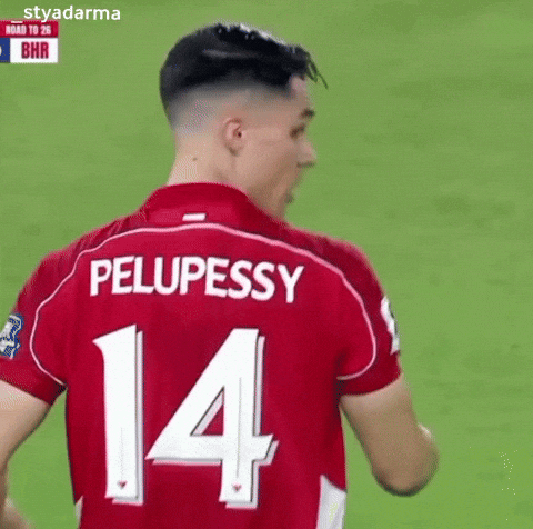 Timnas Indonesia Joey GIF