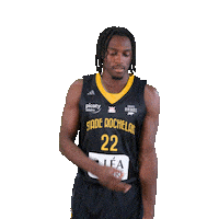 Basket Thomas Sticker by Stade Rochelais