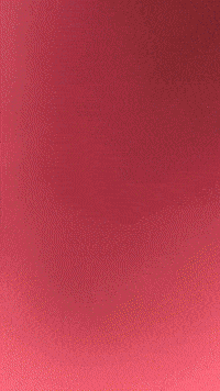 Spongebob Cockroach GIF by Youtooz