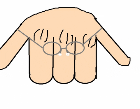 ARACH5533 giphyupload GIF