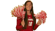 Wisconsin Volleyball Dance Sticker by Wisconsin Badgers