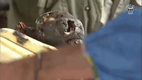 koraysaridogan giphygifmaker GIF