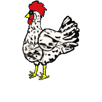 Poultry Exchequer Sticker
