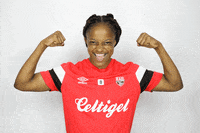 eaguingamp eag guingamp d1 arkema ea guingamp GIF