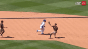 Chicago Cubs Baseball GIF