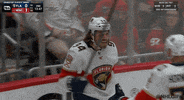 Ice Hockey Sport GIF by NHL