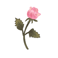 Pink Rose Love Sticker
